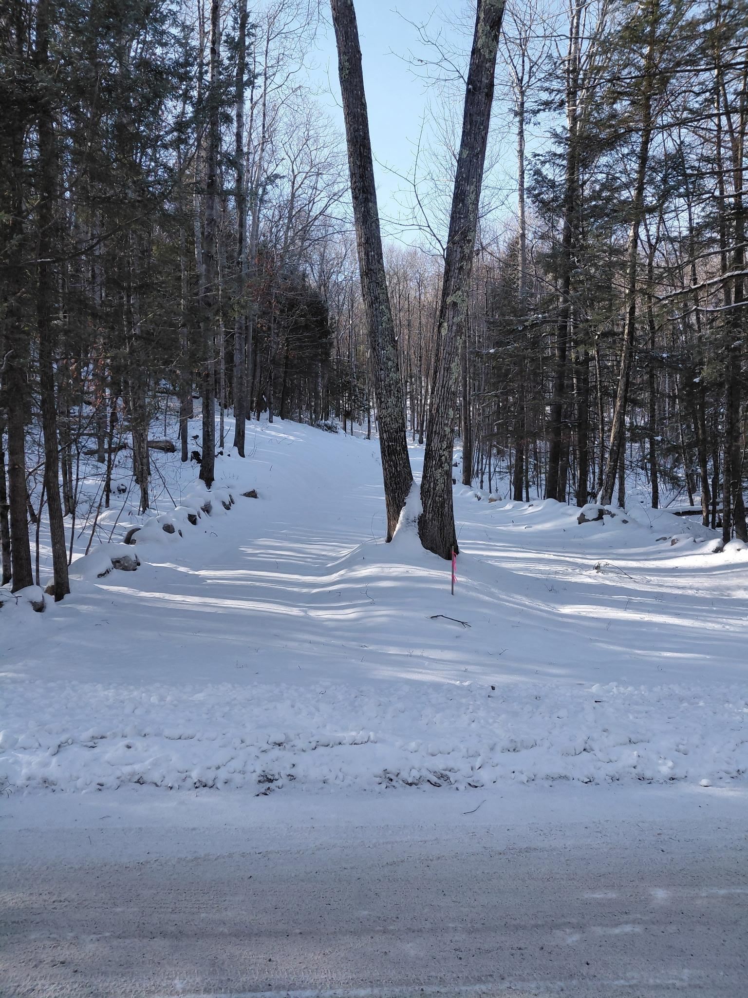 0 Quaker Road New Durham, NH 03855 - Photo 21 of 38