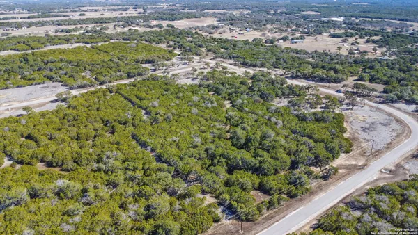 a view of a garden with a plant