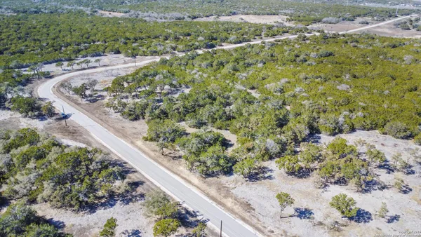 a view of a garden with a plant
