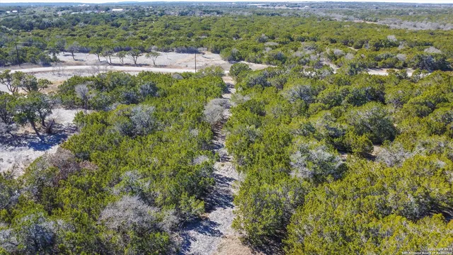a view of a garden with a building