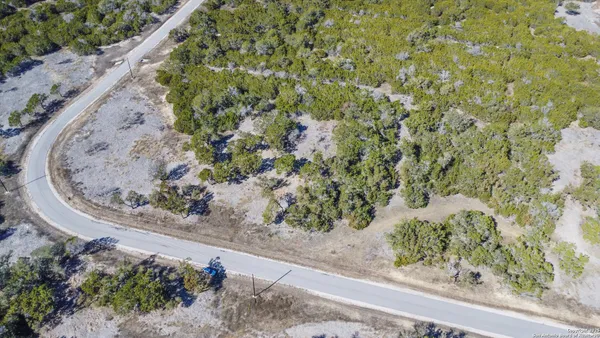 a view of a garden with plants