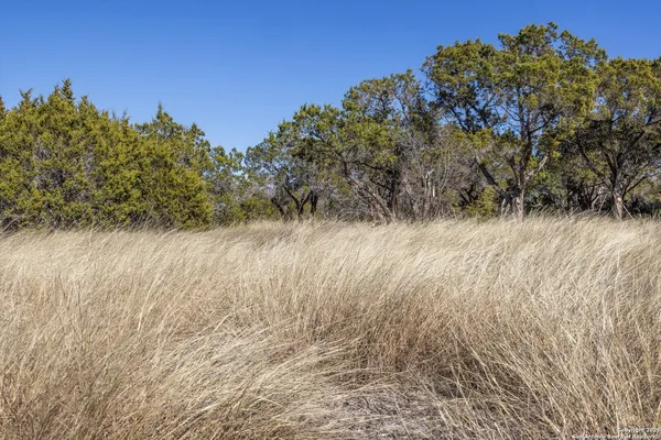 a view of mountain view with tall trees