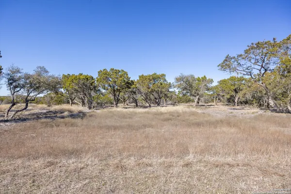 a view of dirt field with trees in background