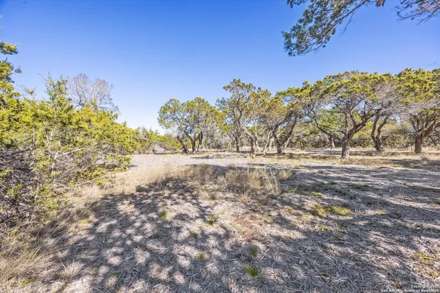 a view of dirt yard with a large tree