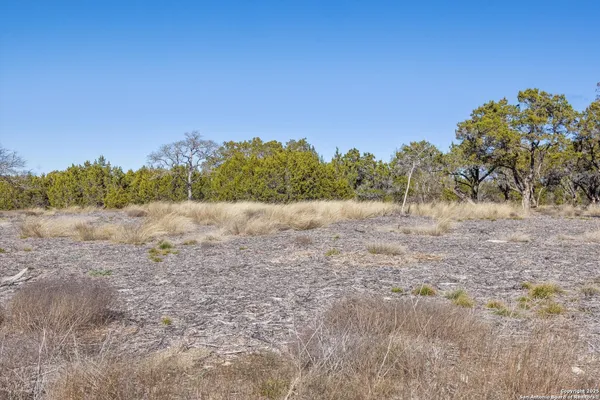 a view of a field with trees in background