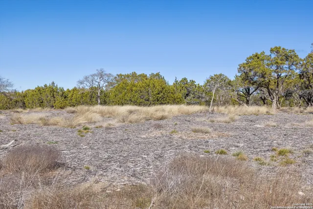 a view of a field with trees in background