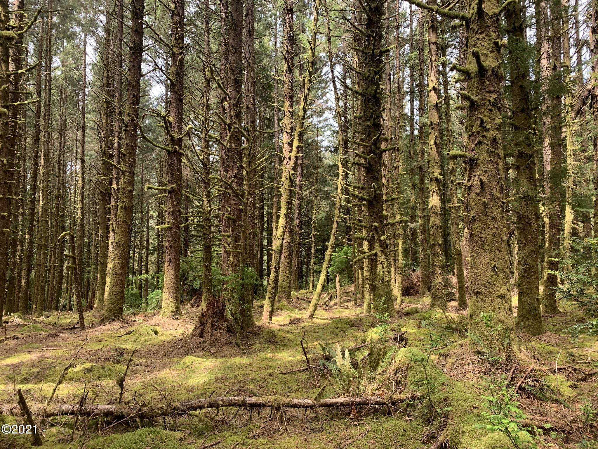 Lot Northeast East Line Road Yachats, OR 97498 - Photo 5 of 15 14
