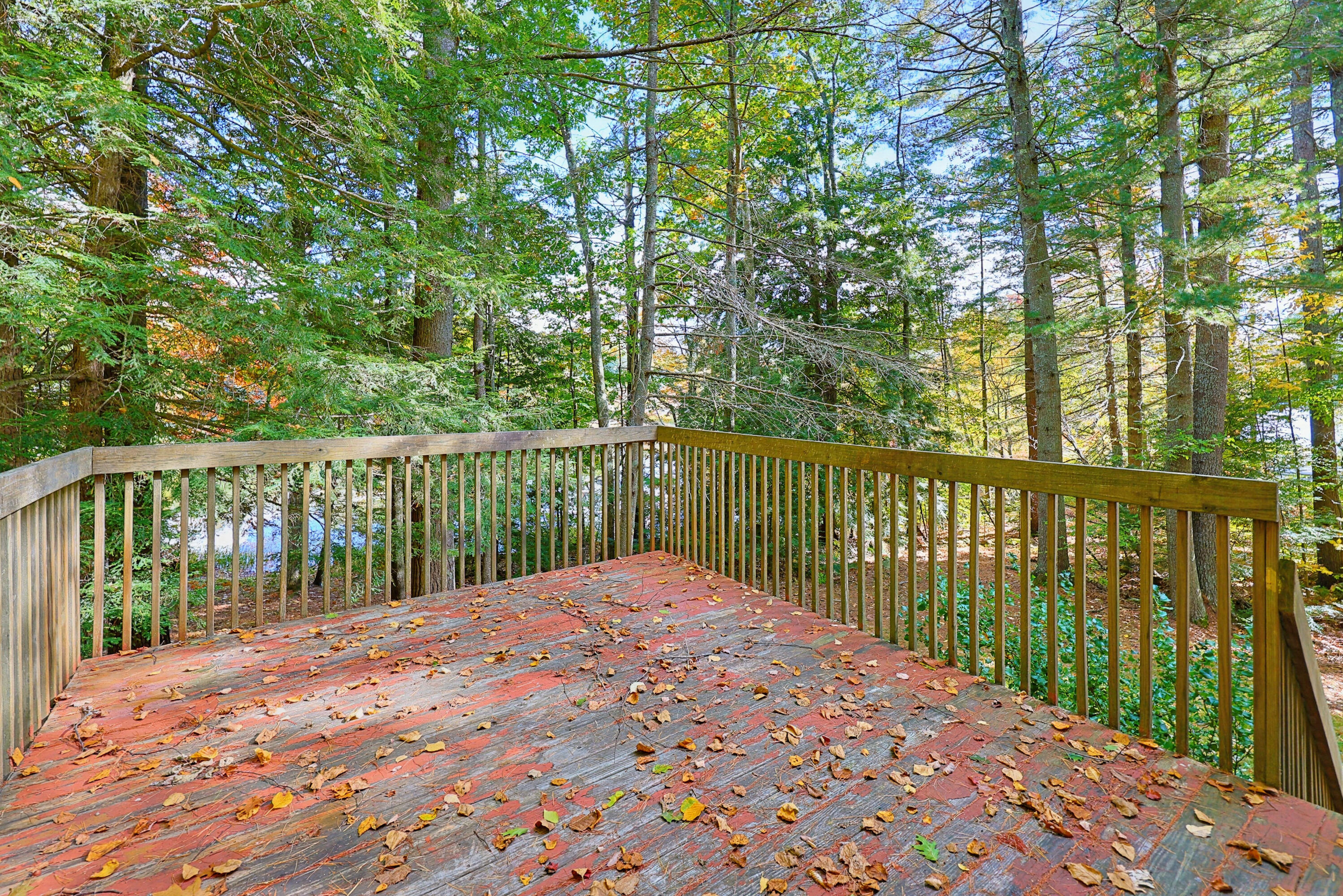 157 Buker Road Litchfield, ME 04350 - Photo 44 of 51 IMG_6557