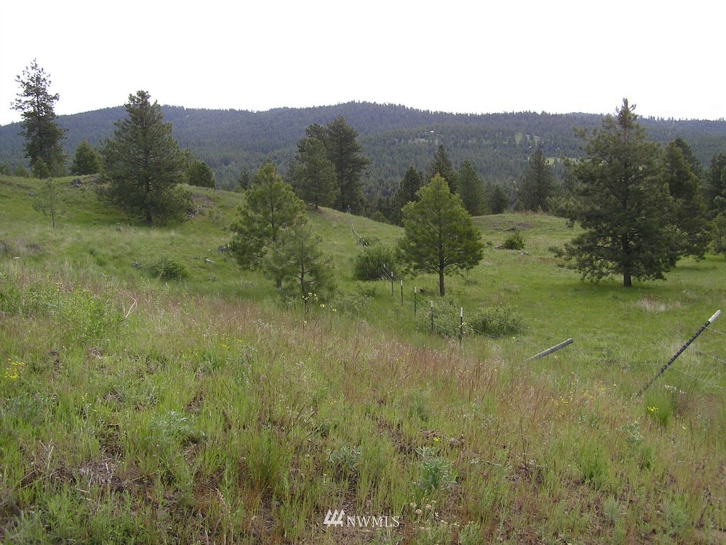 455 Roundabout Road Tonasket, WA 98855 - Photo 22 of 25 Gallery Image 22
