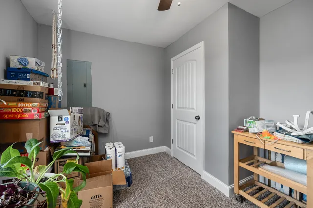 a room with furniture a rug and a potted plant