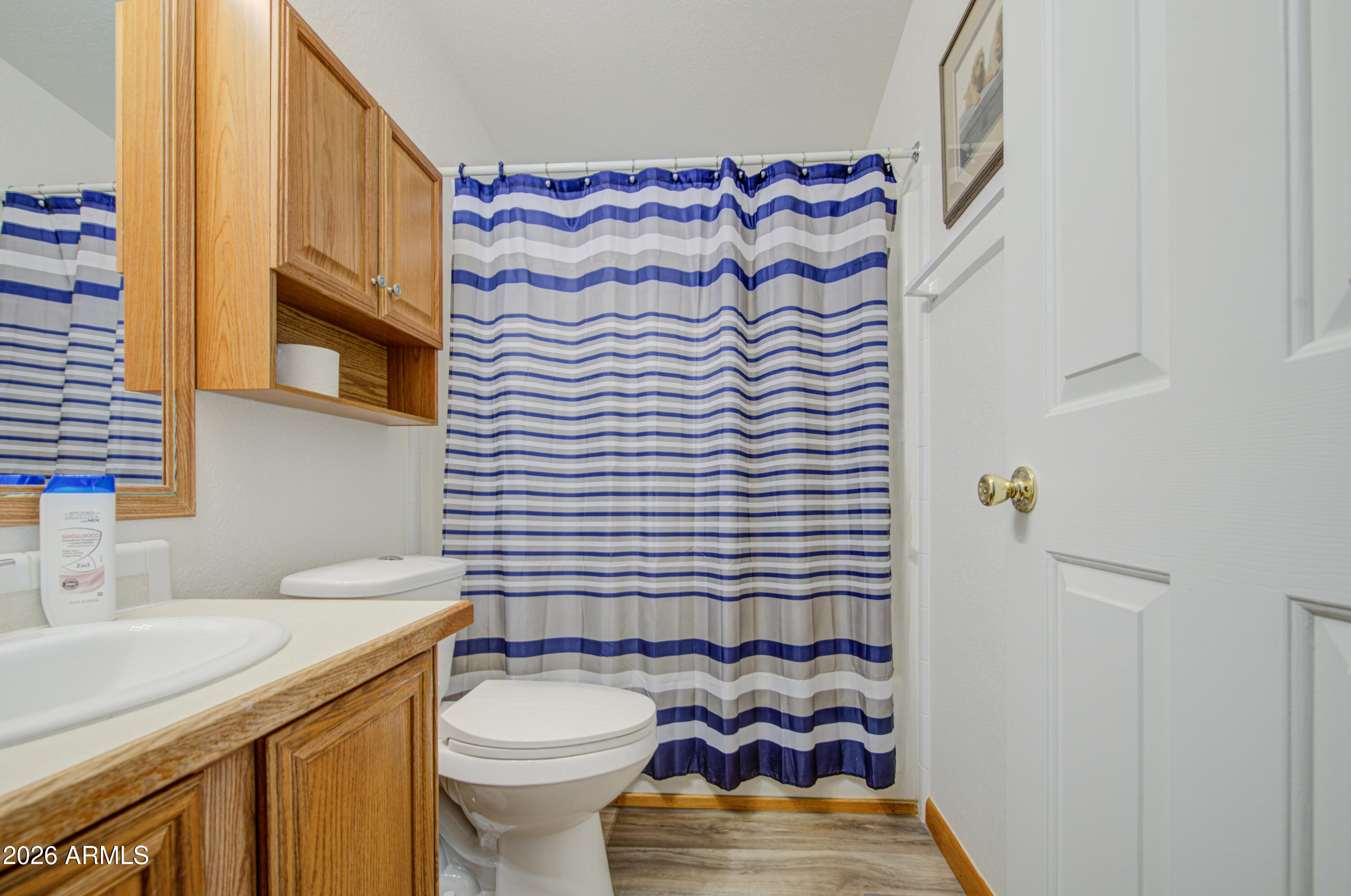 661 South Hawes Road, Unit 93 Mesa, AZ 85208 - Photo 46 of 59 Bathroom 2-pic 1