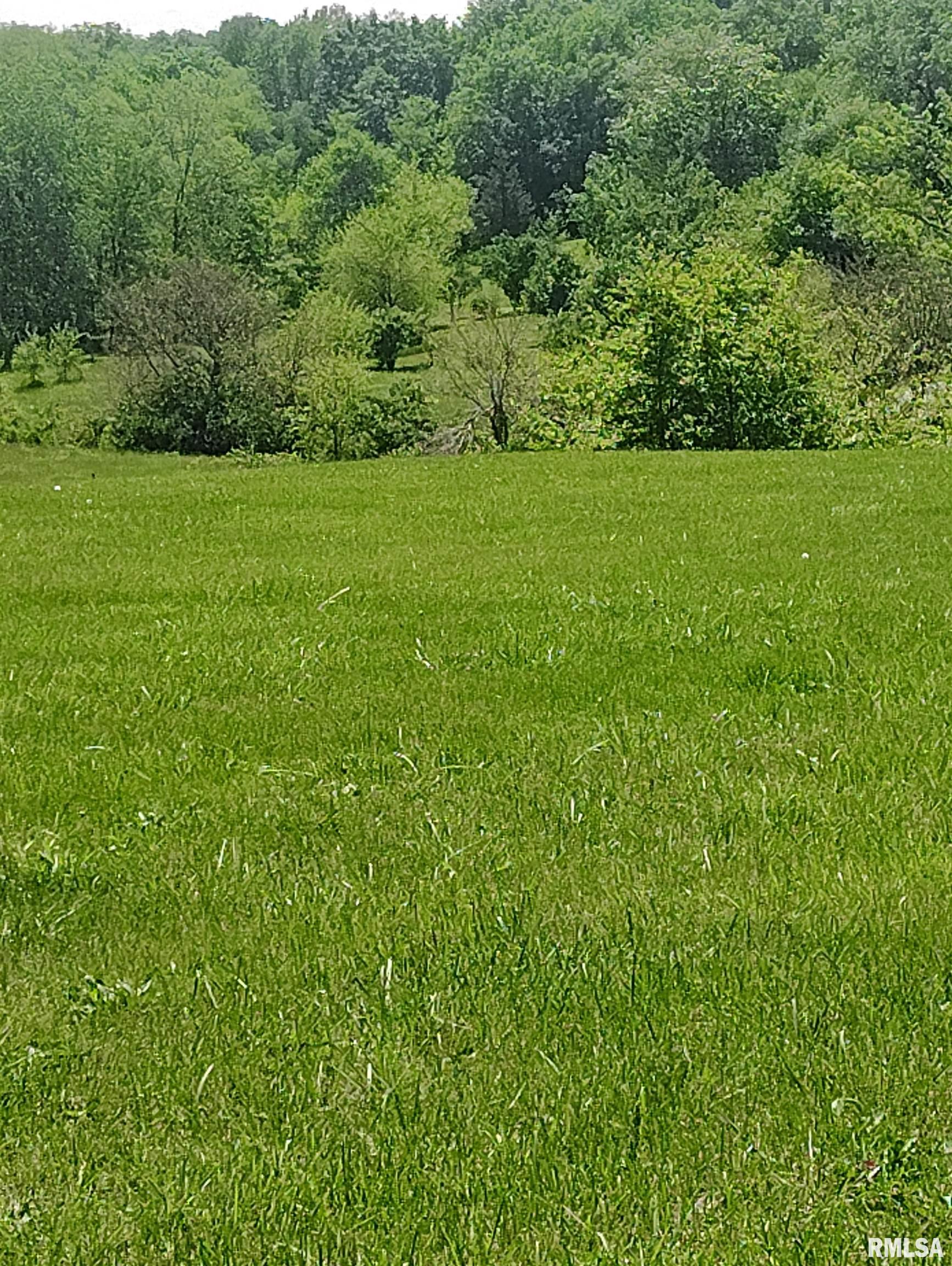 30720 North Norris Blacktop Road Farmington, IL 61531 - Photo 19 of 94