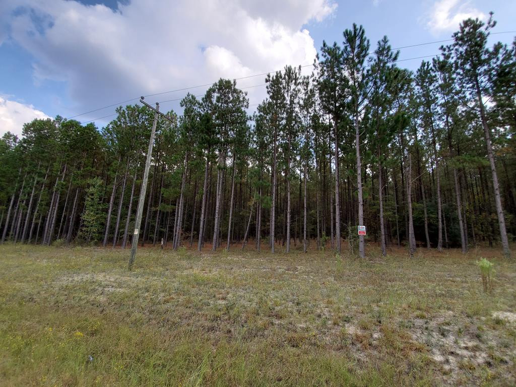 16 Coleman Chapel Road Bartow, GA 30413 - Photo 1 of 3 Main View