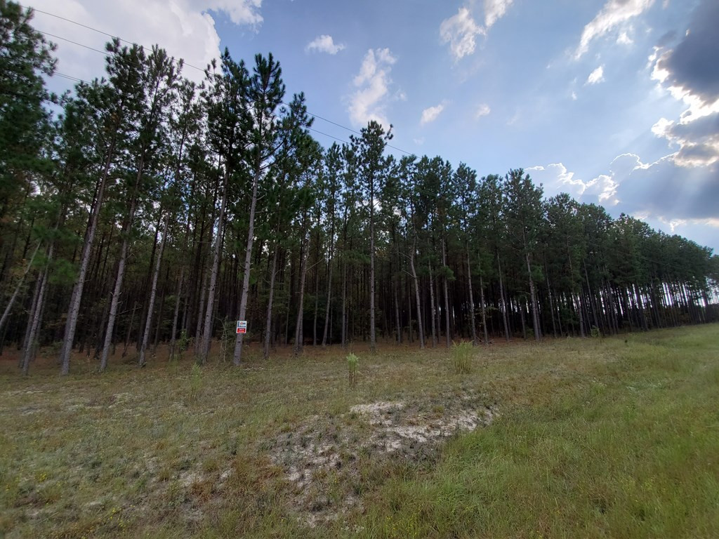 16 Coleman Chapel Road Bartow, GA 30413 - Photo 2 of 3