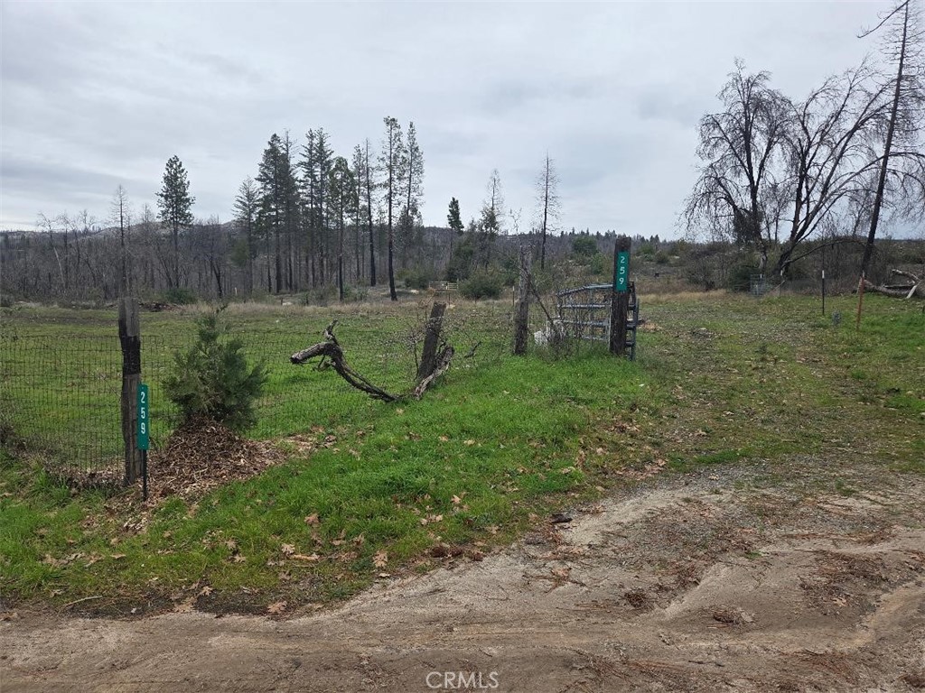 259 Rockerfeller Road Berry Creek, CA 95916 - Photo 6 of 12 Gallery Image 6