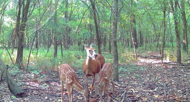 $499,000 | 7700 West 1000 South, Fortville, IN 46040