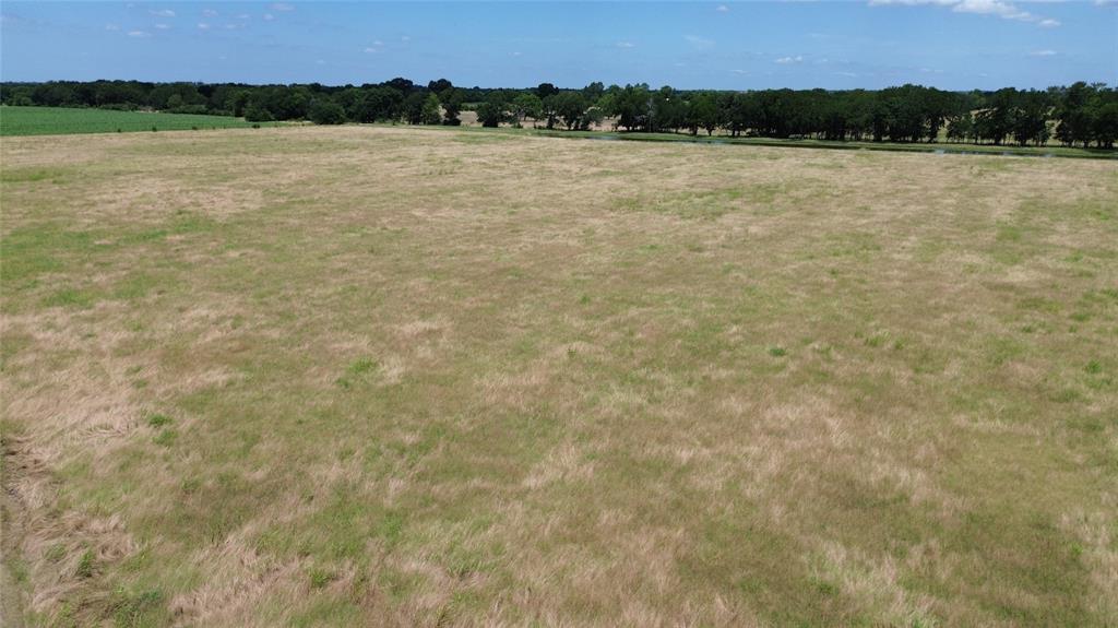 15901 County Road 1030 Blue Ridge, TX 75424 - Photo 10 of 33