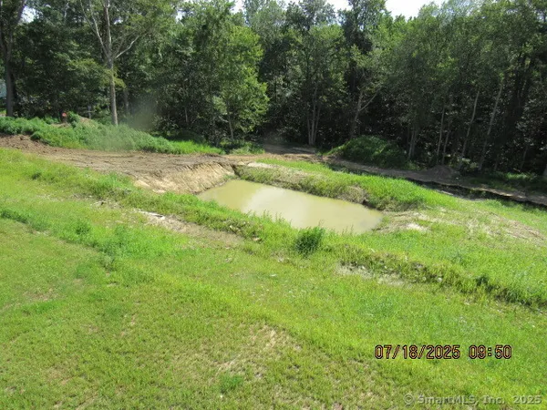 a view of backyard with green space