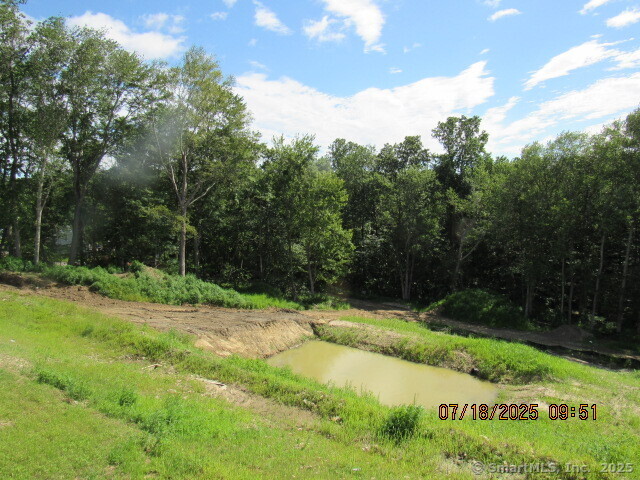 Lot #9 Morning Dove Road, Unit LOT # 9 Naugatuck, CT 06770 - Photo 6 of 7 a view of a park with a tree in the background