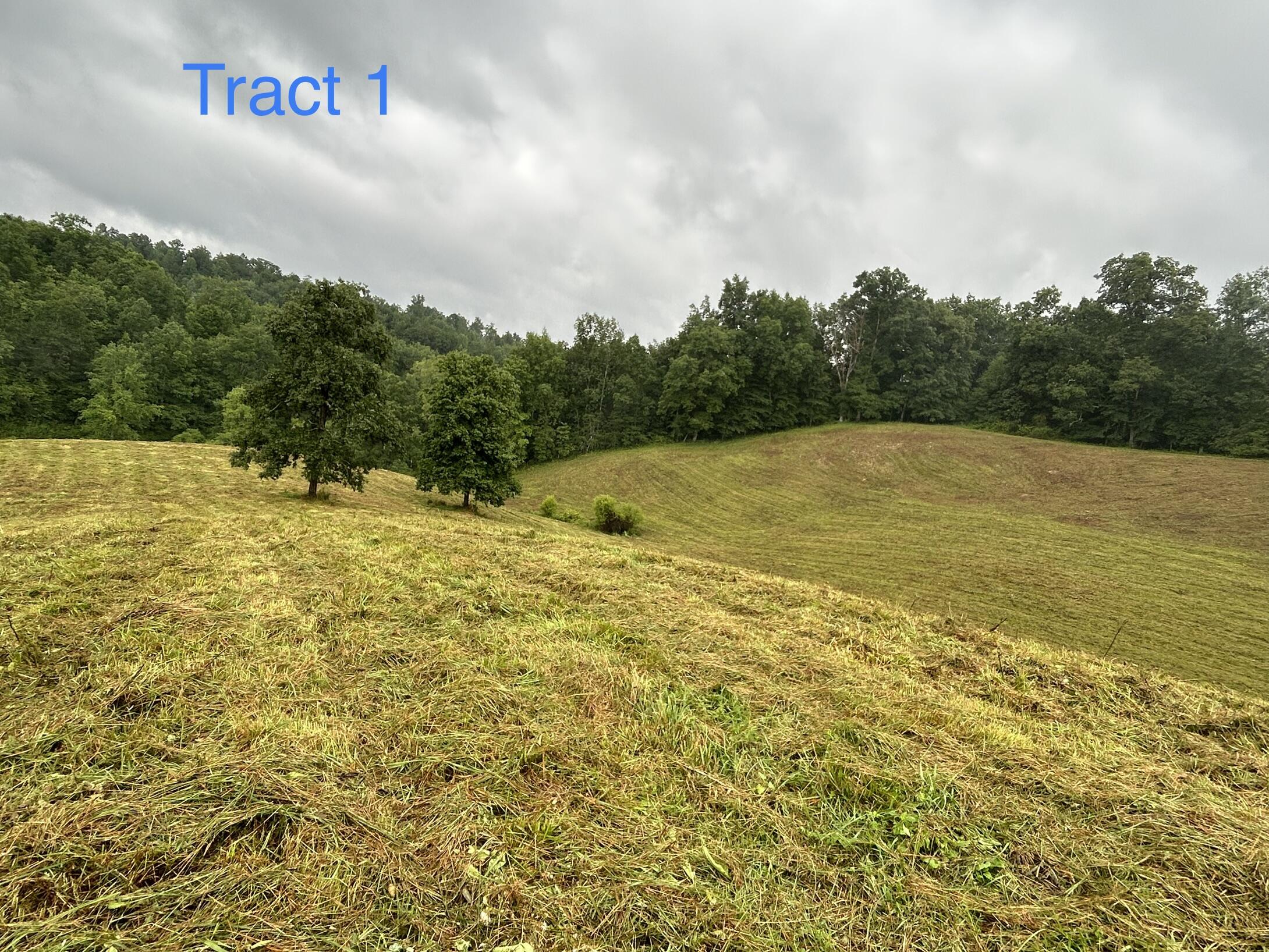 1 Langdon Branch Road Annville, KY 40402 - Photo 1 of 30 IMG_3110