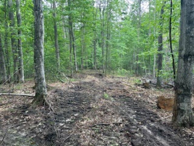 V/l McKinney Road Central Lake, MI 49622 - Photo 21 of 29