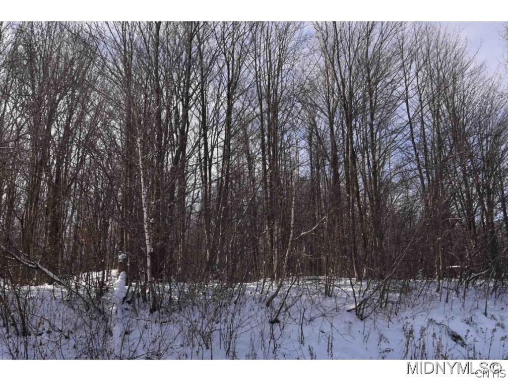 0 Hampton Road Frankfort, NY 13340 - Photo 1 of 1 Gallery Image 1