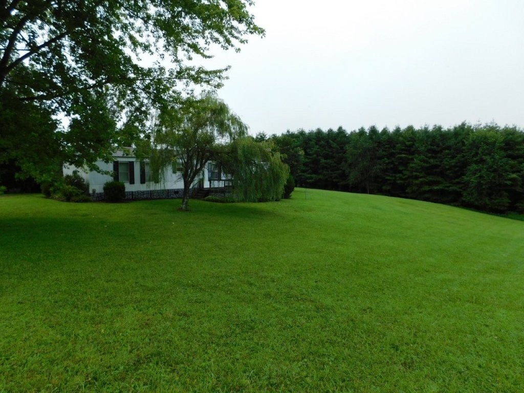 1485 Pine Branch Road Laurel Fork, VA 24352 - Photo 30 of 38 Gallery Image 30