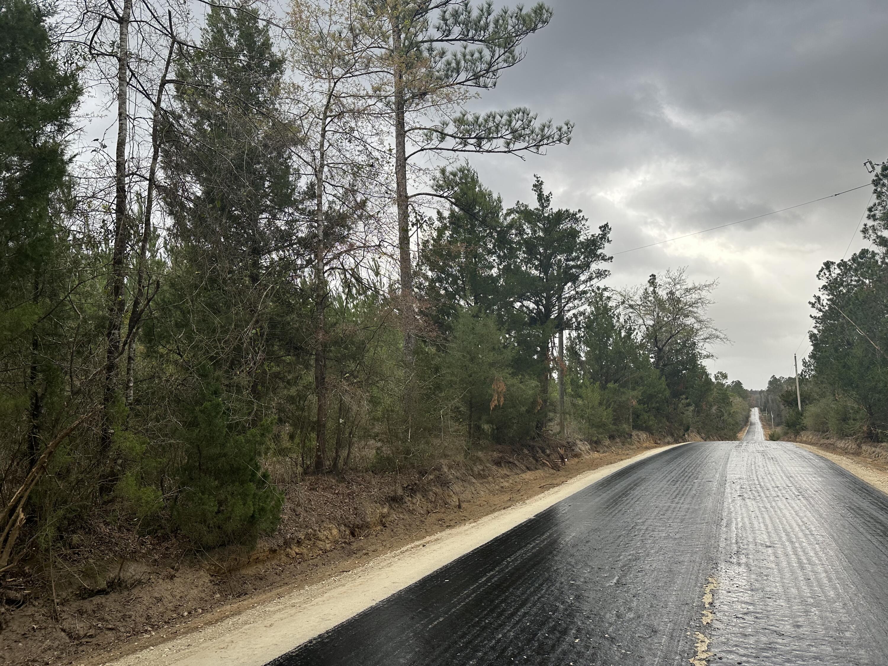 Tract#6417 Brock Road Caryville, FL 32427 - Photo 2 of 4 a view of a street with trees in front of it