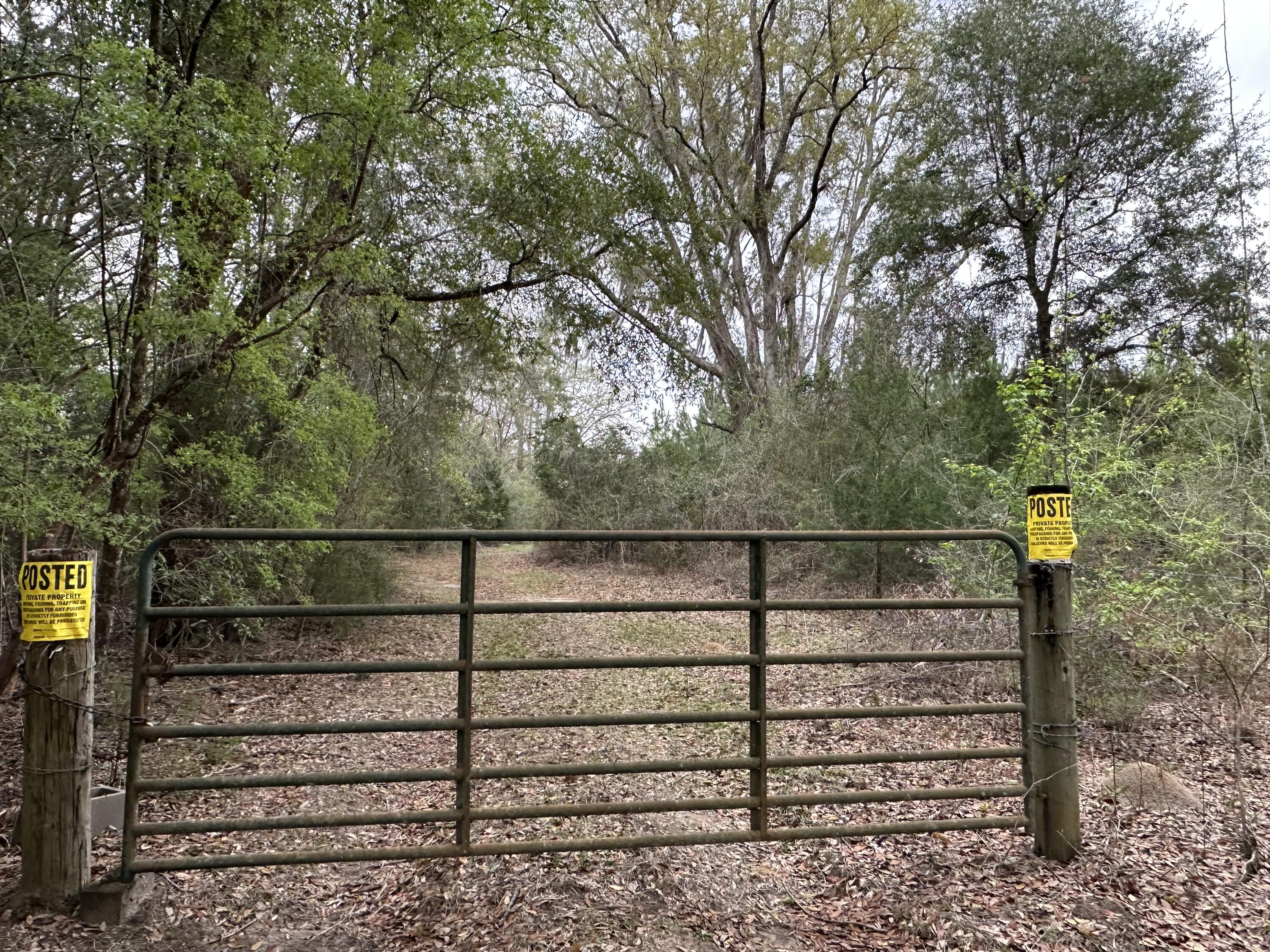 Tract#6417 Brock Road Caryville, FL 32427 - Photo 4 of 4 a view of a wooden fence and trees