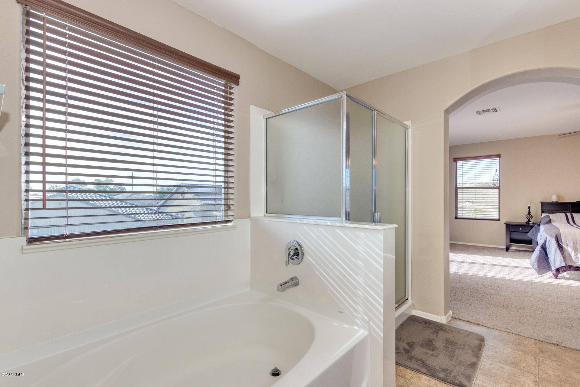 14235 West Calavar Road Surprise, AZ 85379 - Photo 28 of 45 0038-Calavar - 14235 (34)