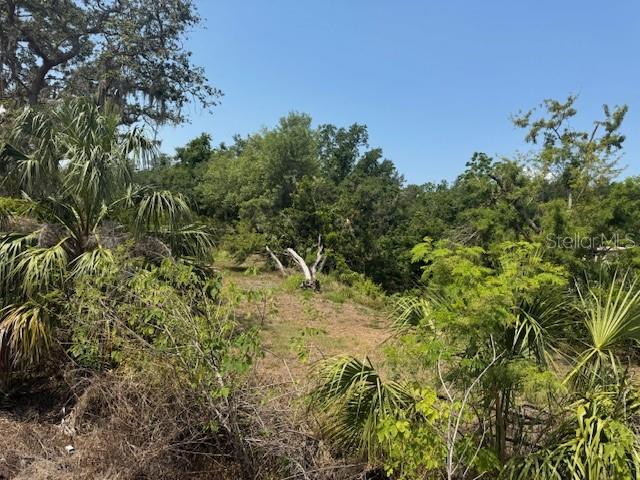 10709 East Bay Road Gibsonton, FL 33534 - Photo 3 of 6 a view of a yard and trees