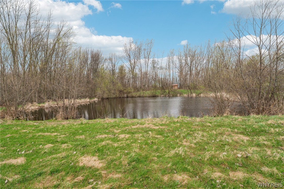 14125 West Barre Road Barre, NY 14411 - Photo 39 of 50