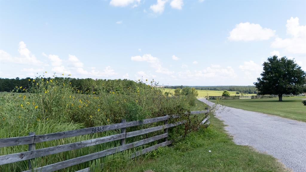 36365 Frazee Hill Road Dade City, FL 33523 - Photo 15 of 15 a view of a green field with wooden fence