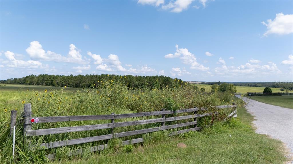 36365 Frazee Hill Road Dade City, FL 33523 - Photo 2 of 15 a view of mountain with lake in background