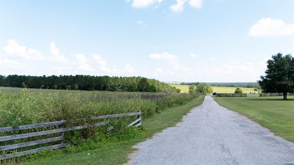 36365 Frazee Hill Road Dade City, FL 33523 - Photo 3 of 15 a view of a park with large trees