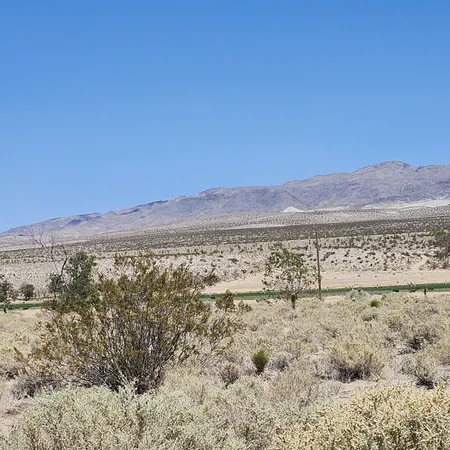$58,000 | Cactus Flats, Olancha, CA 93549