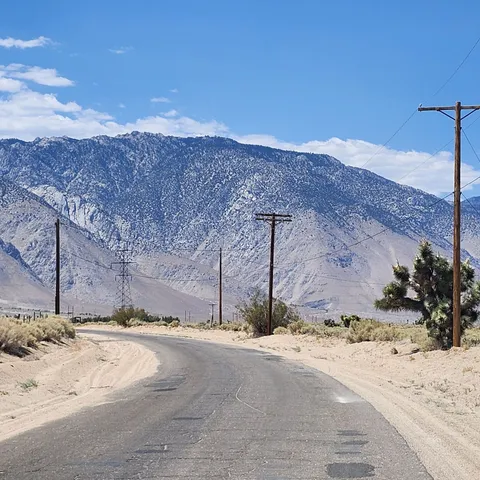 a view of back yard of the garden