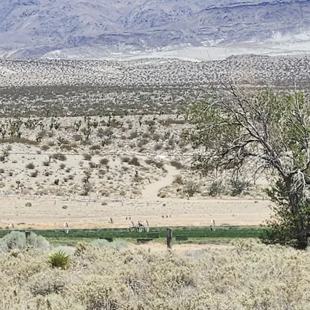 a view of a dry yard with mountains and valleys