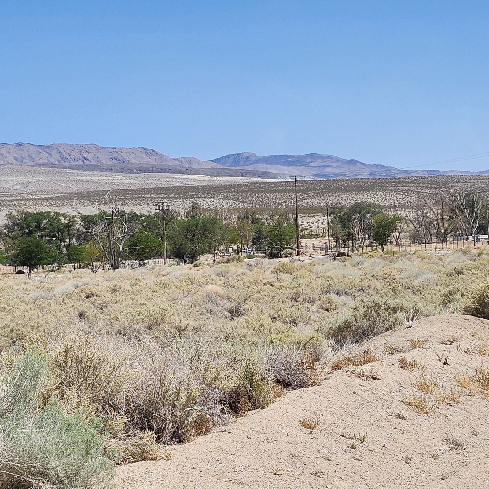 Cactus Flats Olancha, CA 93549 - Photo 8 of 13 a view of mountain view with mountain view in back