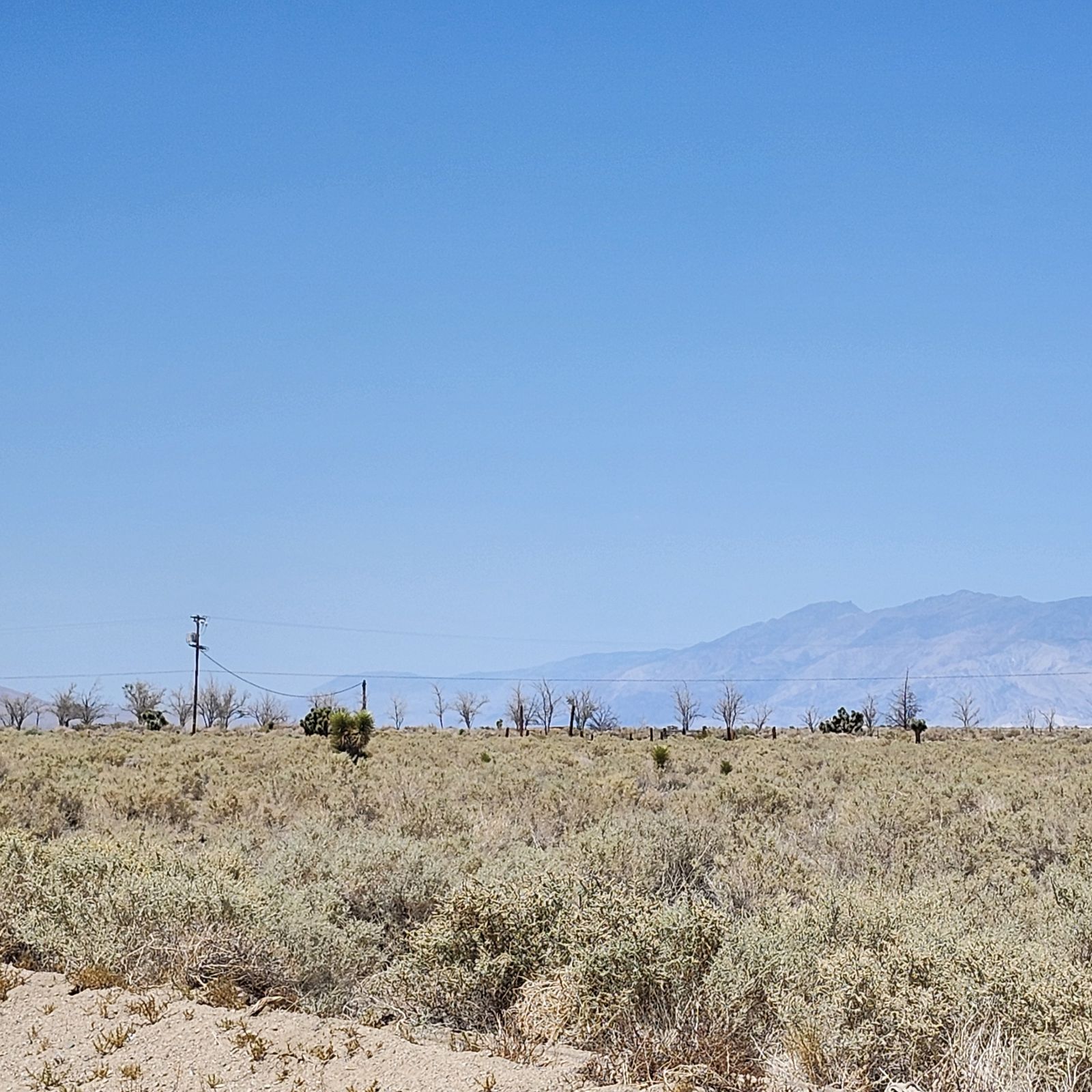 Cactus Flats Olancha, CA 93549 - Photo 10 of 13 a view of an outdoor space and mountain view