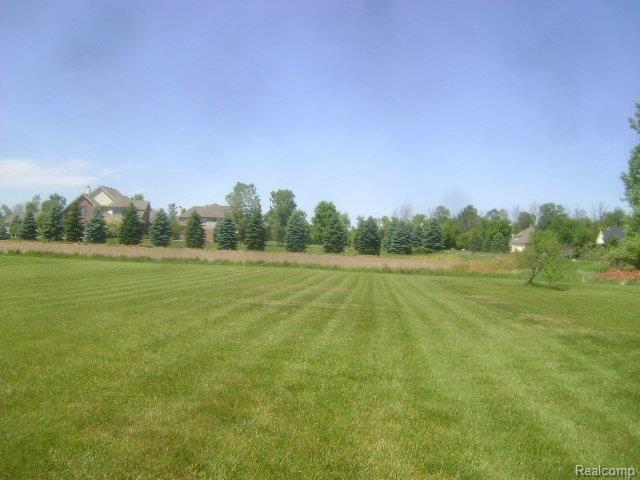 8953 34 Mile Road Romeo, MI 48065 - Photo 10 of 14 DSC03536
