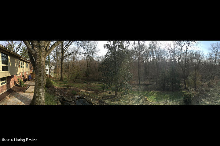 521 Ridgewood Road Louisville, KY 40207 - Photo 24 of 36 Backyard2