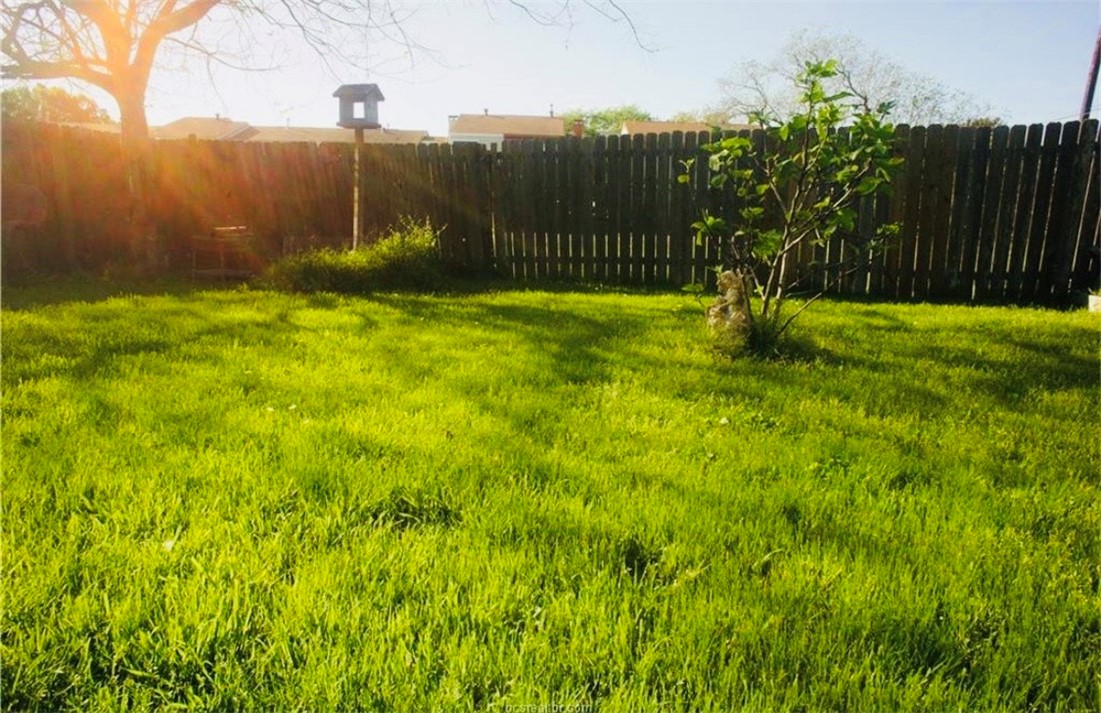 1409 Hawk Tree Drive College Station, TX 77845 - Photo 11 of 12 a backyard of a house