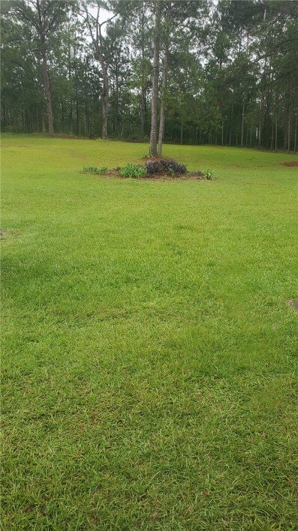 770 Mindingall Road Tuskegee, AL 36083 - Photo 3 of 15 Gallery Image 3