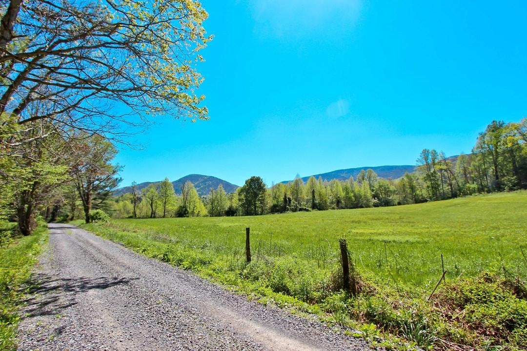 Cates Road Hartford, TN 37753 - Photo 1 of 28 IMG_0157