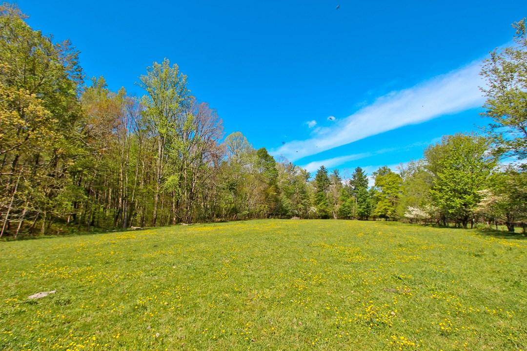 Cates Road Hartford, TN 37753 - Photo 13 of 28 IMG_0156