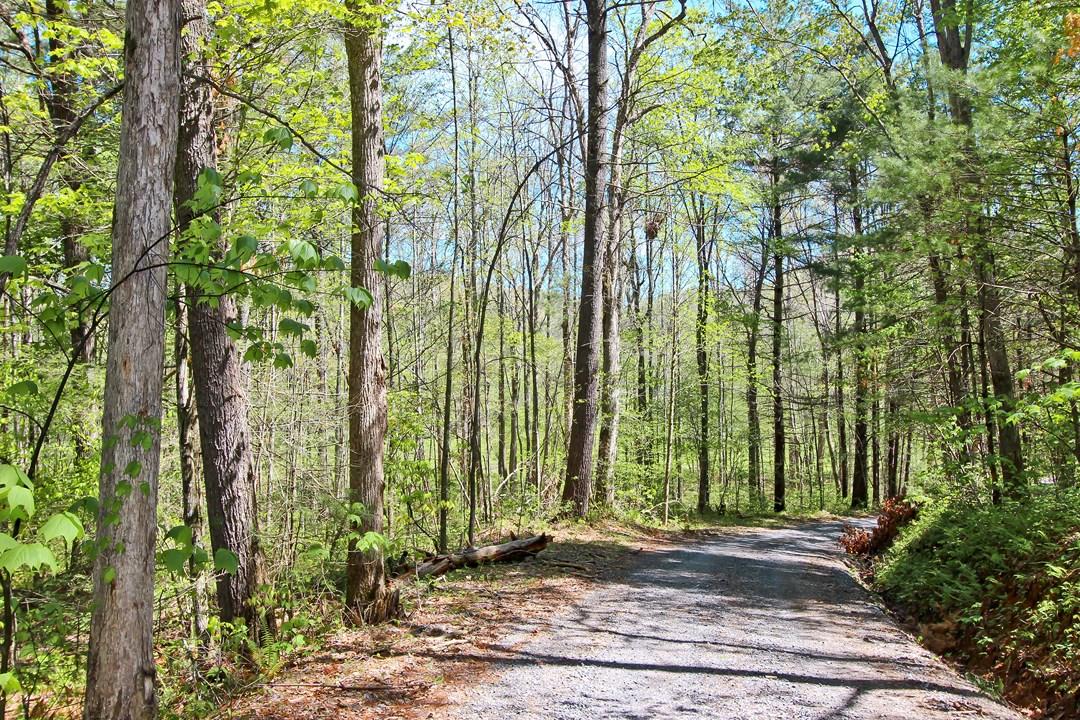 Cates Road Hartford, TN 37753 - Photo 15 of 28 IMG_0159