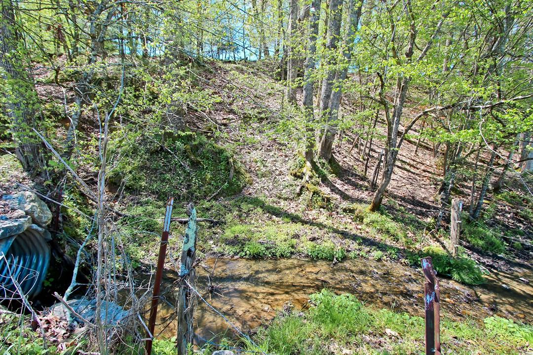 Cates Road Hartford, TN 37753 - Photo 17 of 28 IMG_0165