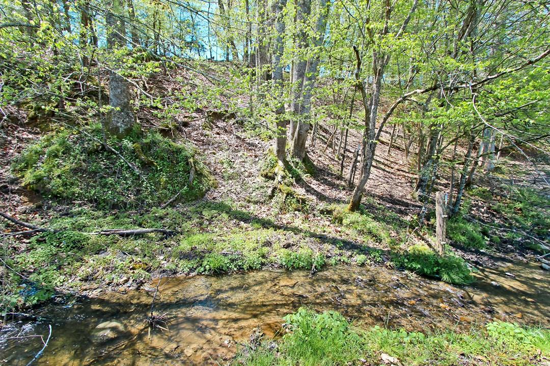 Cates Road Hartford, TN 37753 - Photo 18 of 28 IMG_0166