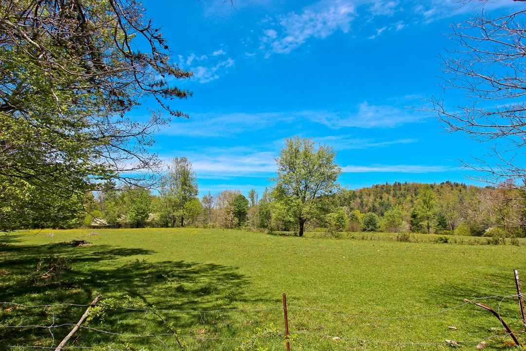 Cates Road Hartford, TN 37753 - Photo 20 of 28 IMG_0168